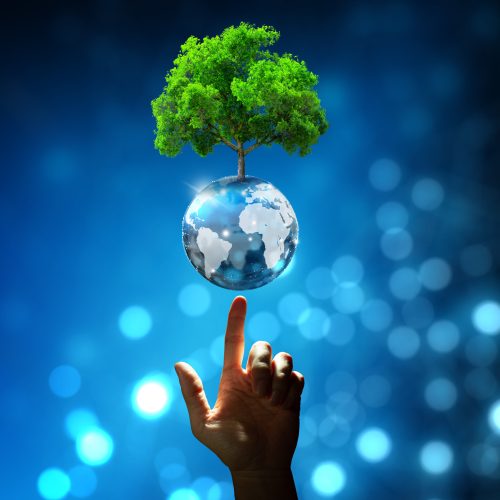 Hand pointing growing tree on crystal ball with technological convergence blue background. Innovative technology, Nature technology interaction, Environmental friendly, IT Ethics, and Ecosystem concept.